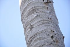 noahs_ow_20140126_1070535421