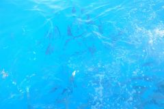 noahs_ow_20140126_1181639494