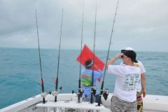 noahs_ow_20140126_1274405026